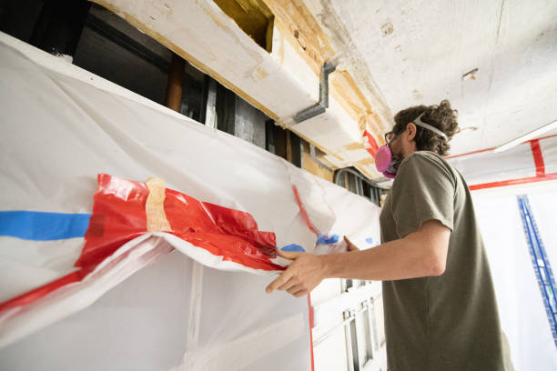 Best Air Quality Testing for Mold Spores  in Lan, MI