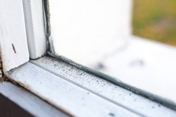 Best Asbestos and Lead Testing During Mold Inspection  in Lan, MI