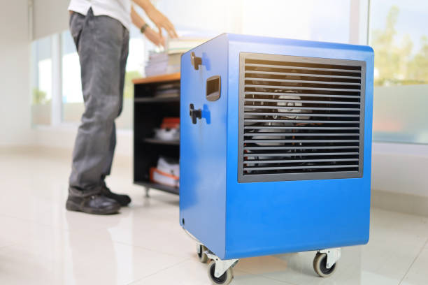Best Attic Mold Removal  in Lan, MI