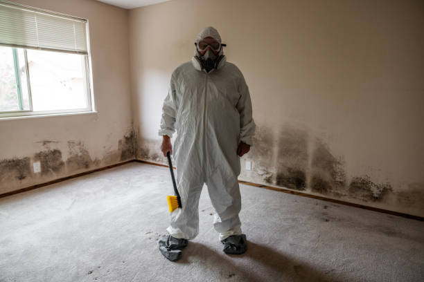 Best Real Estate Mold Inspection  in Lan, MI