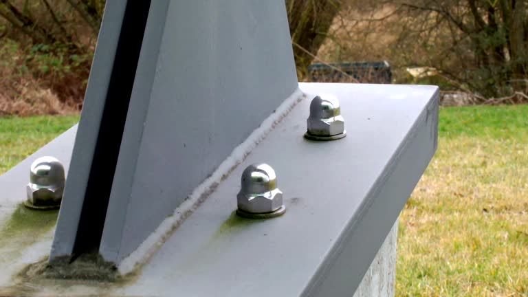 Best Mold Removal for HVAC Installations  in Lan, MI